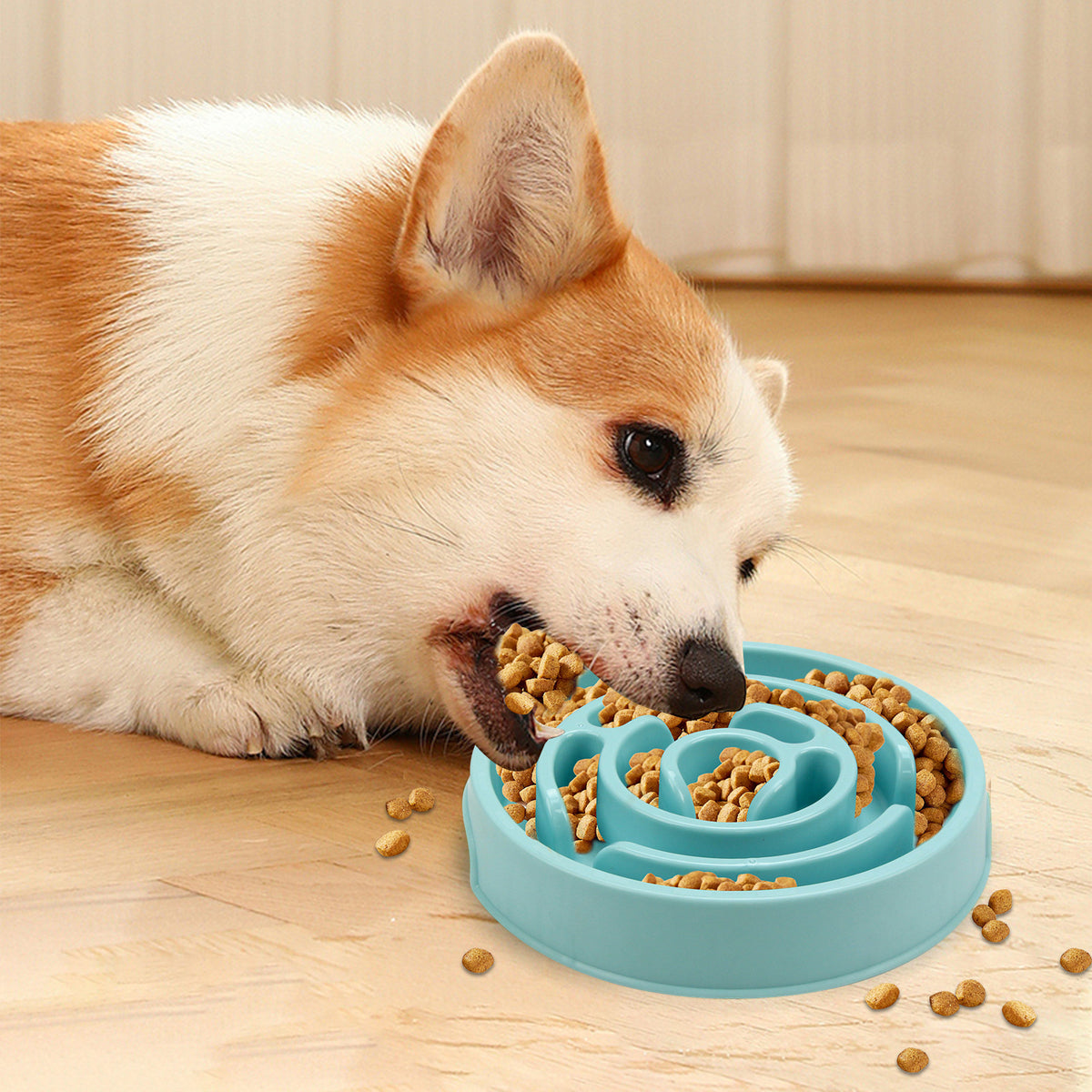 Slow Feeder Dog Bowl — corgi eating kibble from a light blue maze bowl