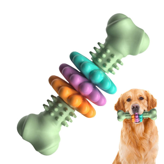 Dog Chew Bone Teeth Cleaning Toy — colorful TPR bone-shaped chew toy with a golden retriever