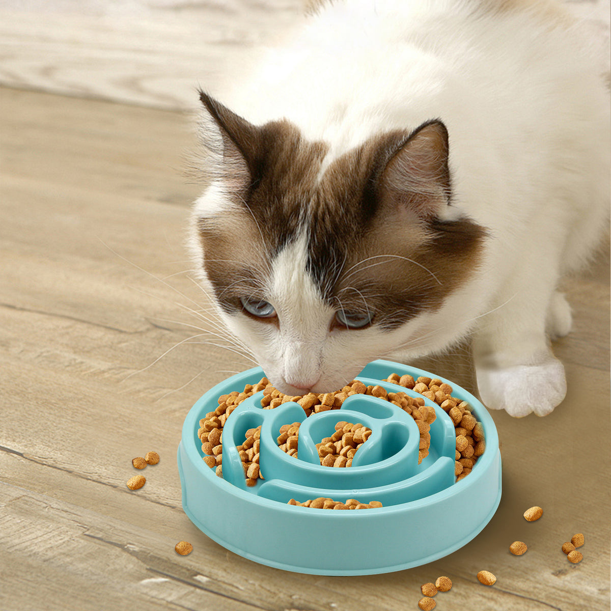 Slow Feeder Dog Bowl — cat eating kibble from a light blue maze bowl